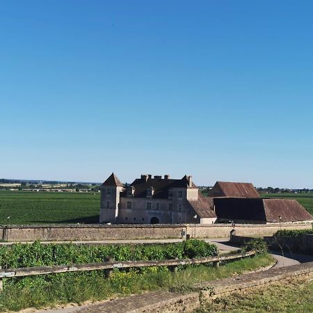 Appt Proche Des Vignes Leilighet Perrigny-les-Dijon Eksteriør bilde