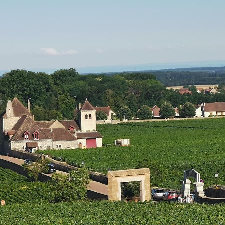 Appt Proche Des Vignes Leilighet Perrigny-les-Dijon Eksteriør bilde