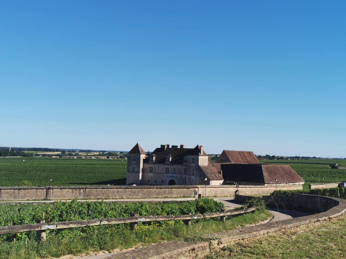 Appt Proche Des Vignes Leilighet Perrigny-les-Dijon Eksteriør bilde